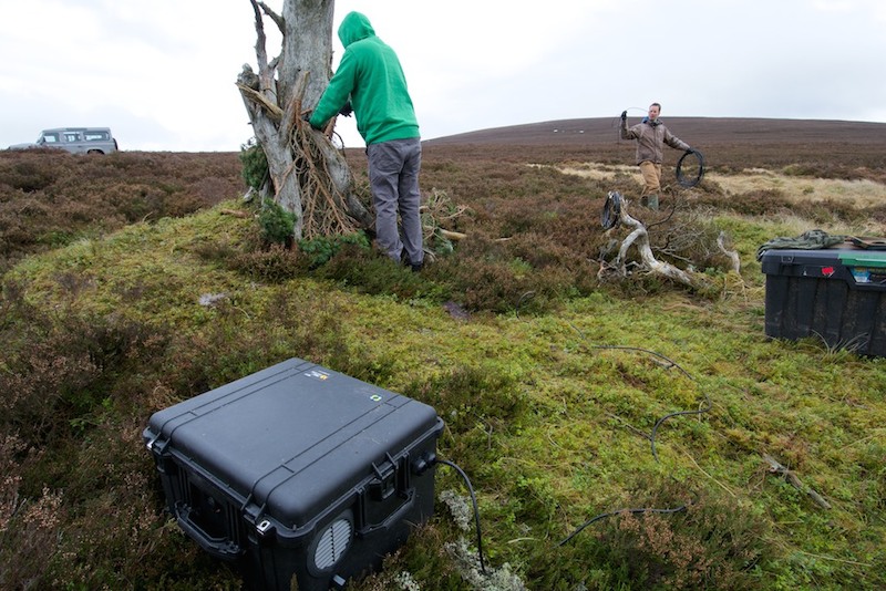 Fuel cell technology used to help capture rare wildlife footage in Scotland