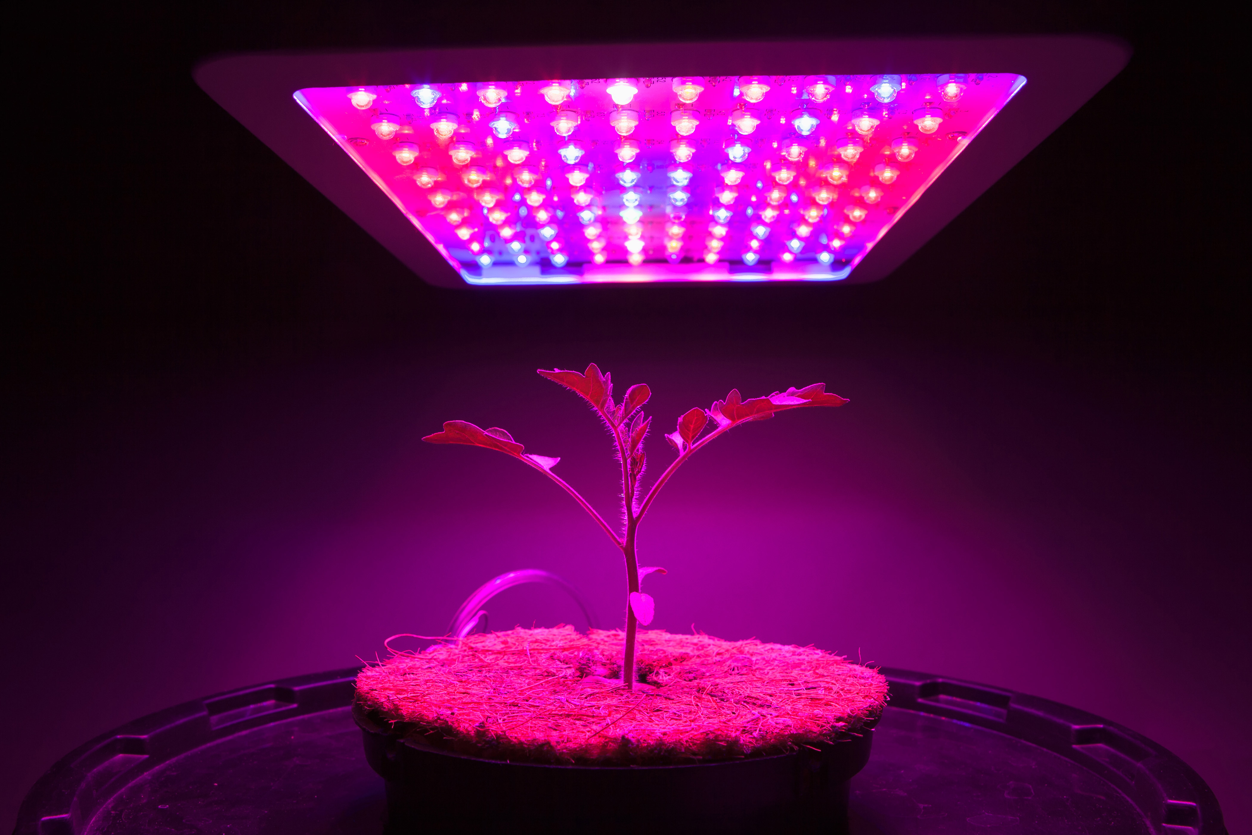 Mouser's Horticulture Site Focuses on LEDs, Sensors, IoT