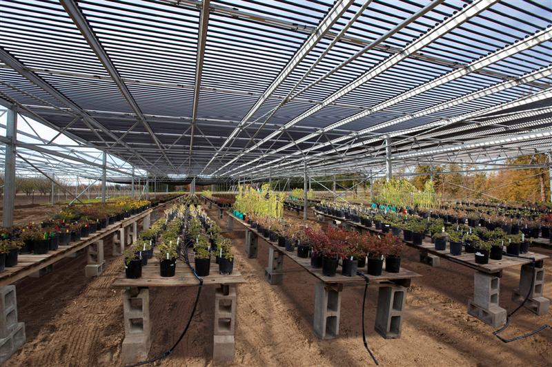 Solyndra Cylindrical Modules Offer a Unique Greenhouse Energy Generation Solution