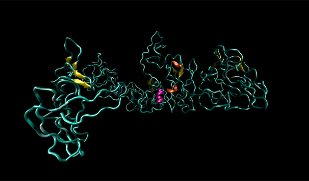 Ferroelectric switching seen in biological tissues