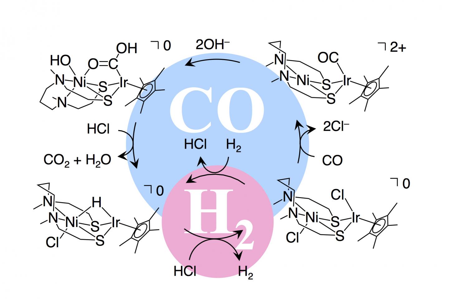 Multifunctional catalyst for poison-resistant hydrogen fuel cells