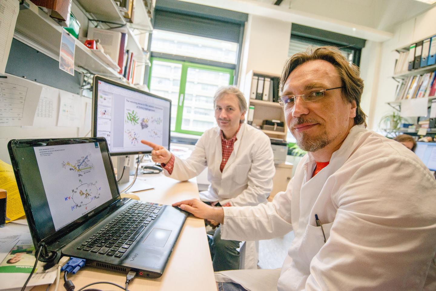 How Enzymes Produce Hydrogen