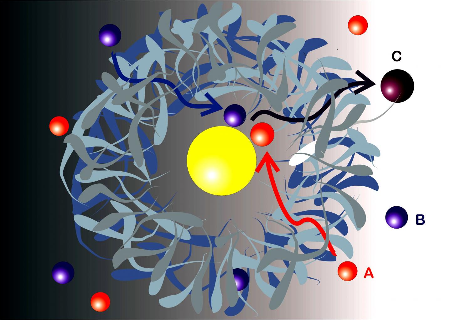 New Model for Bimolecular Reactions in Nanoreactors