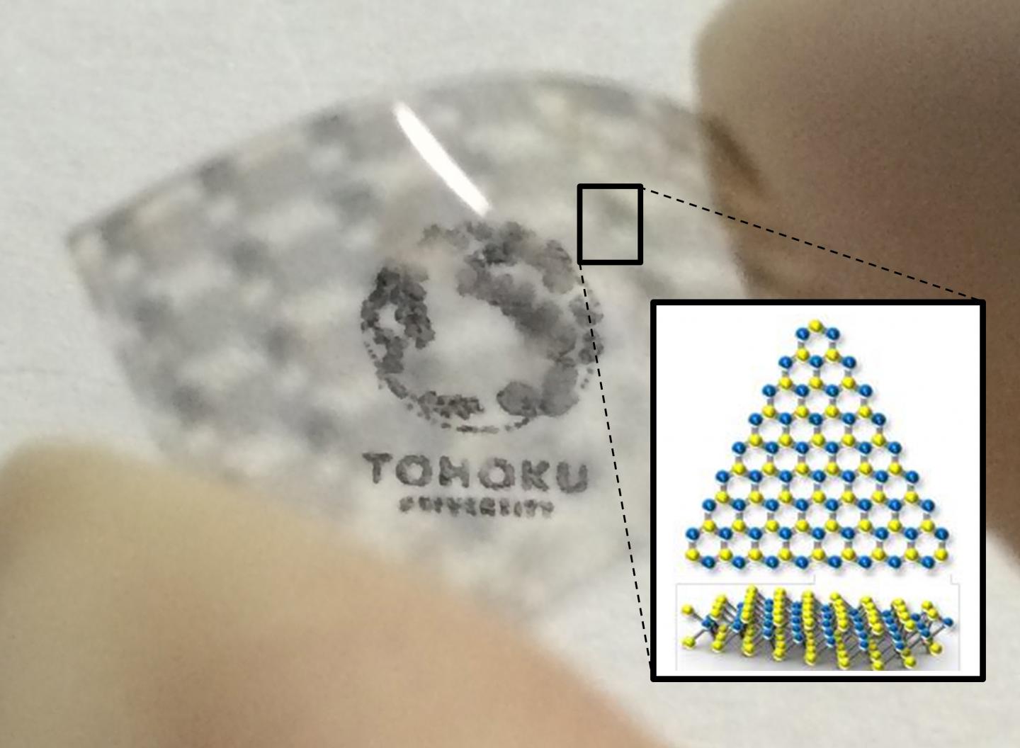 Semitransparent and Flexible -- Solar Cells Made From Atomically Thin Sheet