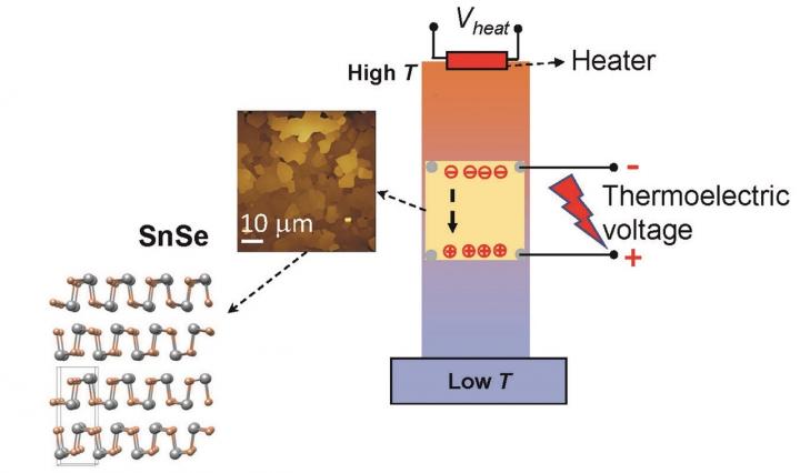 Exploring the Thermoelectric Properties of Tin Selenide Nanostructures