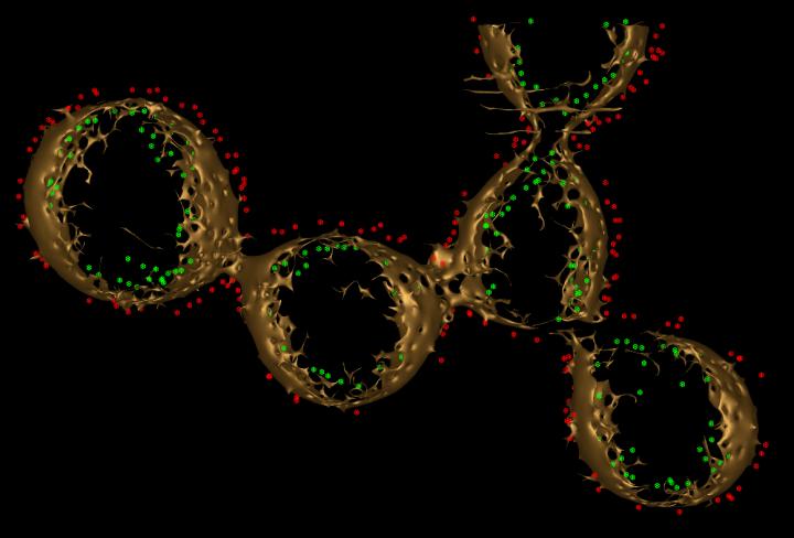 Strings of Electron-Carrying Proteins May Hold The Secret to 'Electric Bacteria'