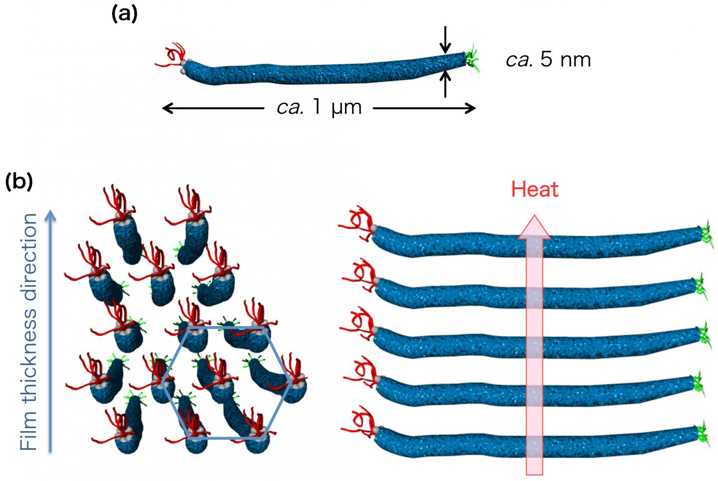 Non-Toxic Filamentous Virus Helps Quickly Dissipate Heat Generated by Electronic Devices