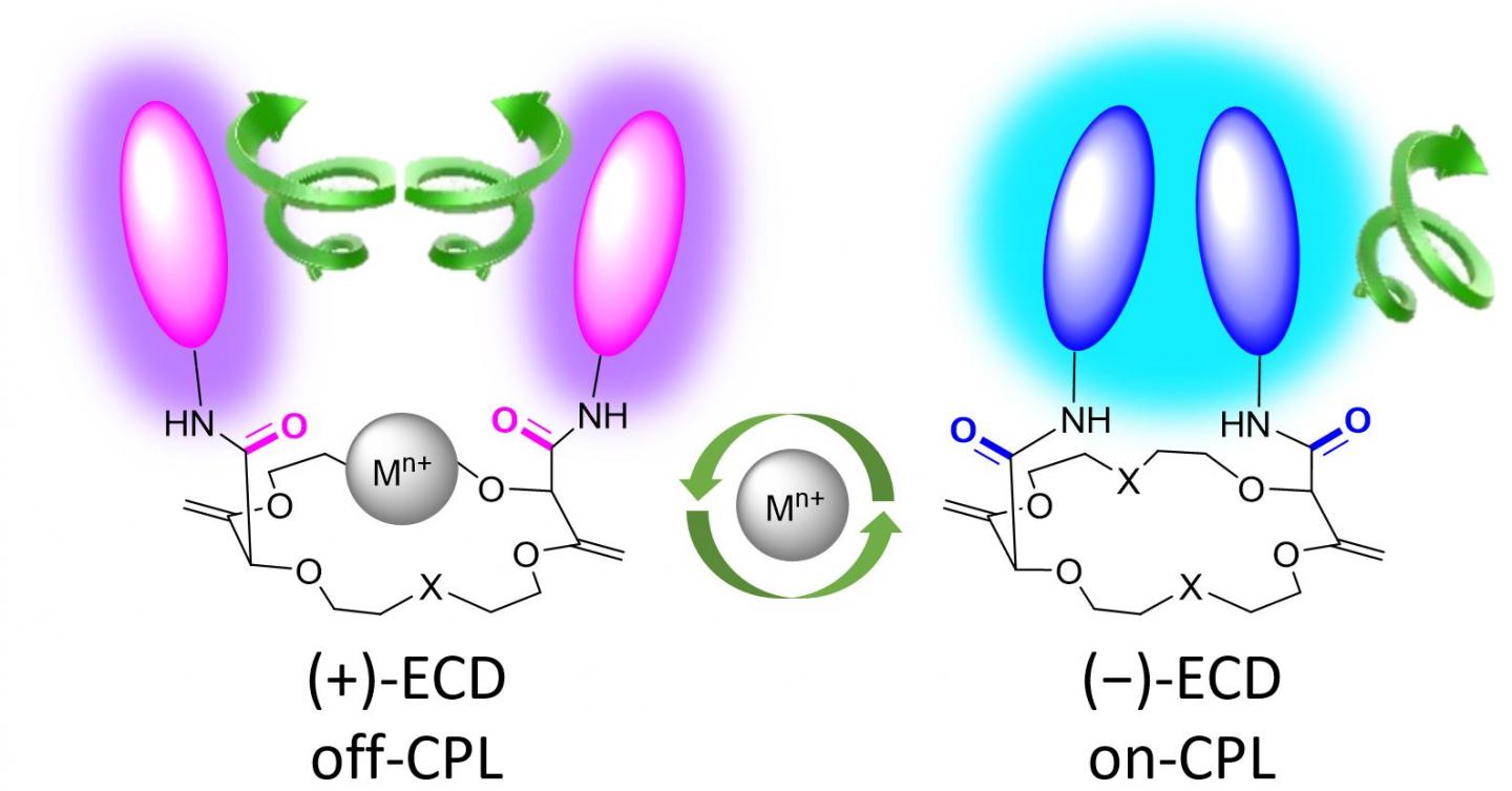 Molecular Switch Detects Metals in the Environment