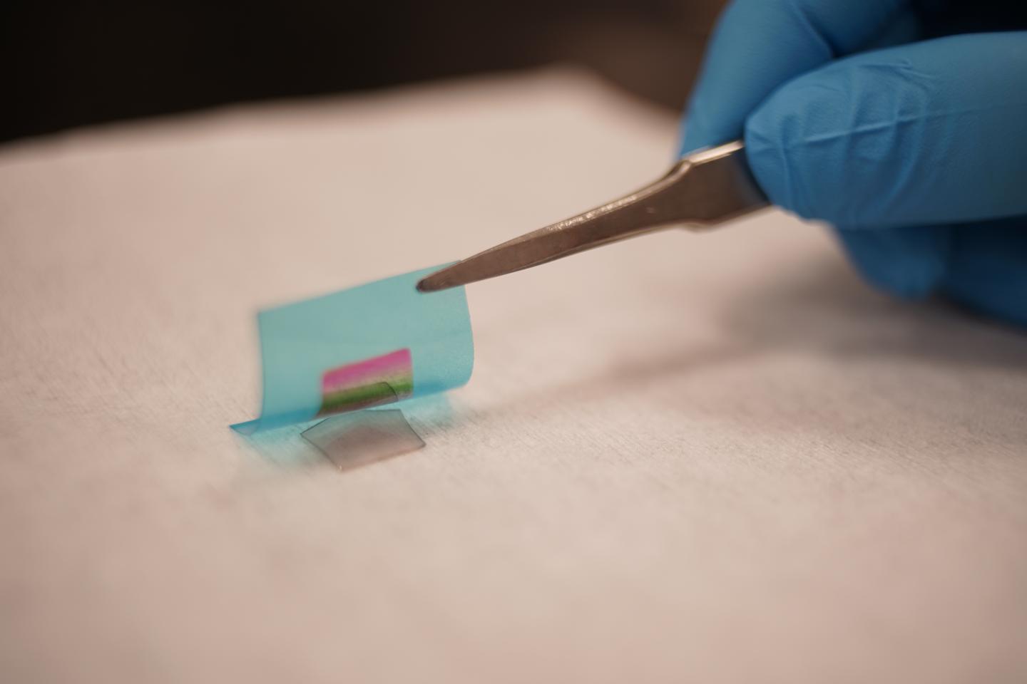 Study Opens Route to Flexible Electronics Made From Exotic Materials