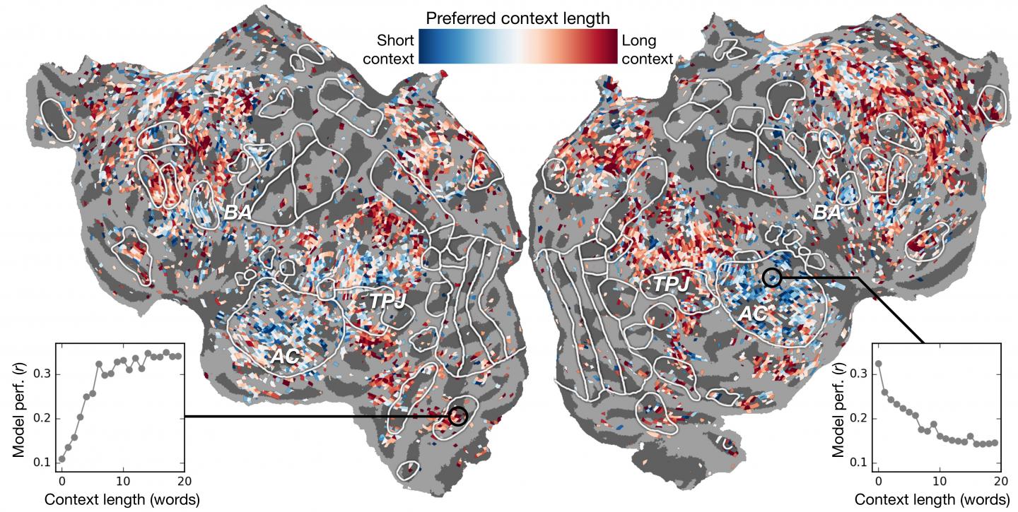 Brain-Inspired AI Inspires Insights About the Brain