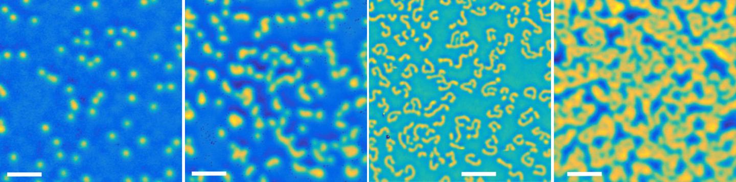 Skyrmions in Multilayers + Their Topological Hall Signature