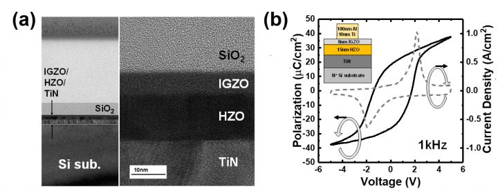 Emerging Device by the Fusion of IGZO and Ferroelectric-HfO2
