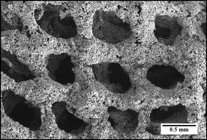 BioSA -- Bridging the gap with Biodegradable Metals