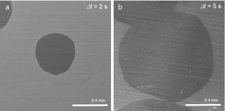 Fluorine Speeds up Two-Dimensional Materials Growth