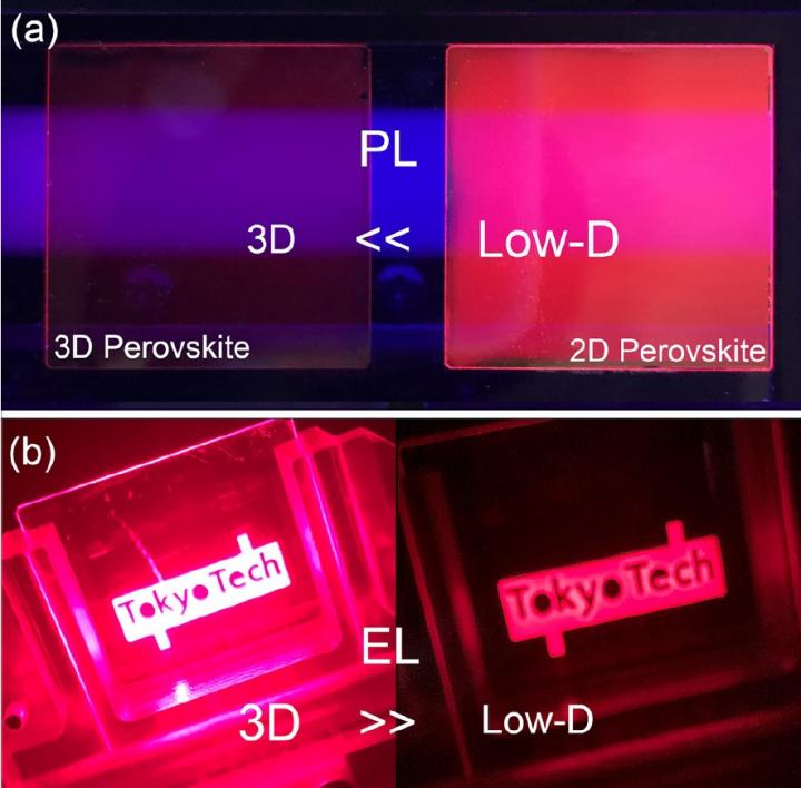 The Future of Perovskite-Based Light-Emitting Diodes