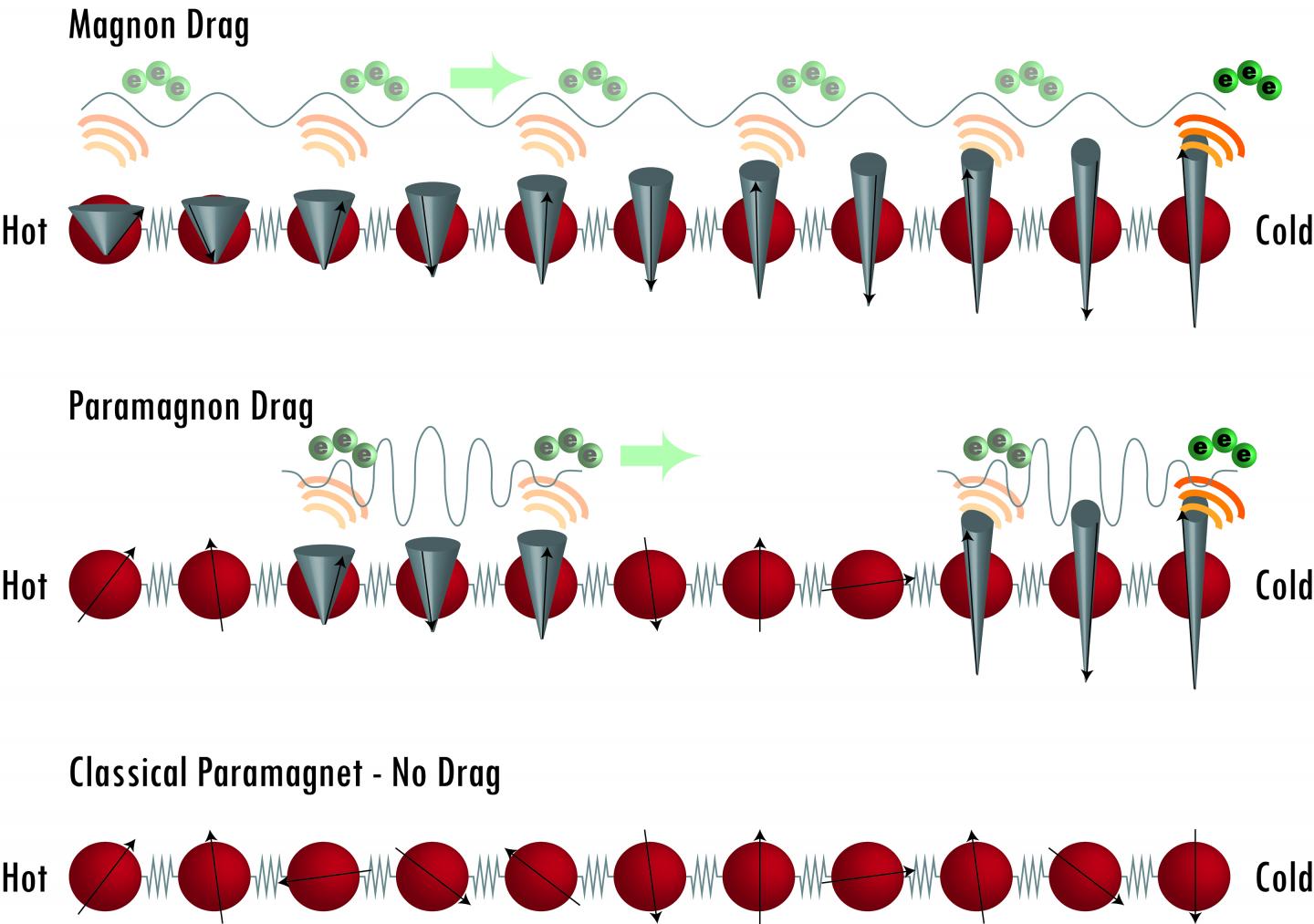 Paramagnetic Spins Take Electrons for a Ride