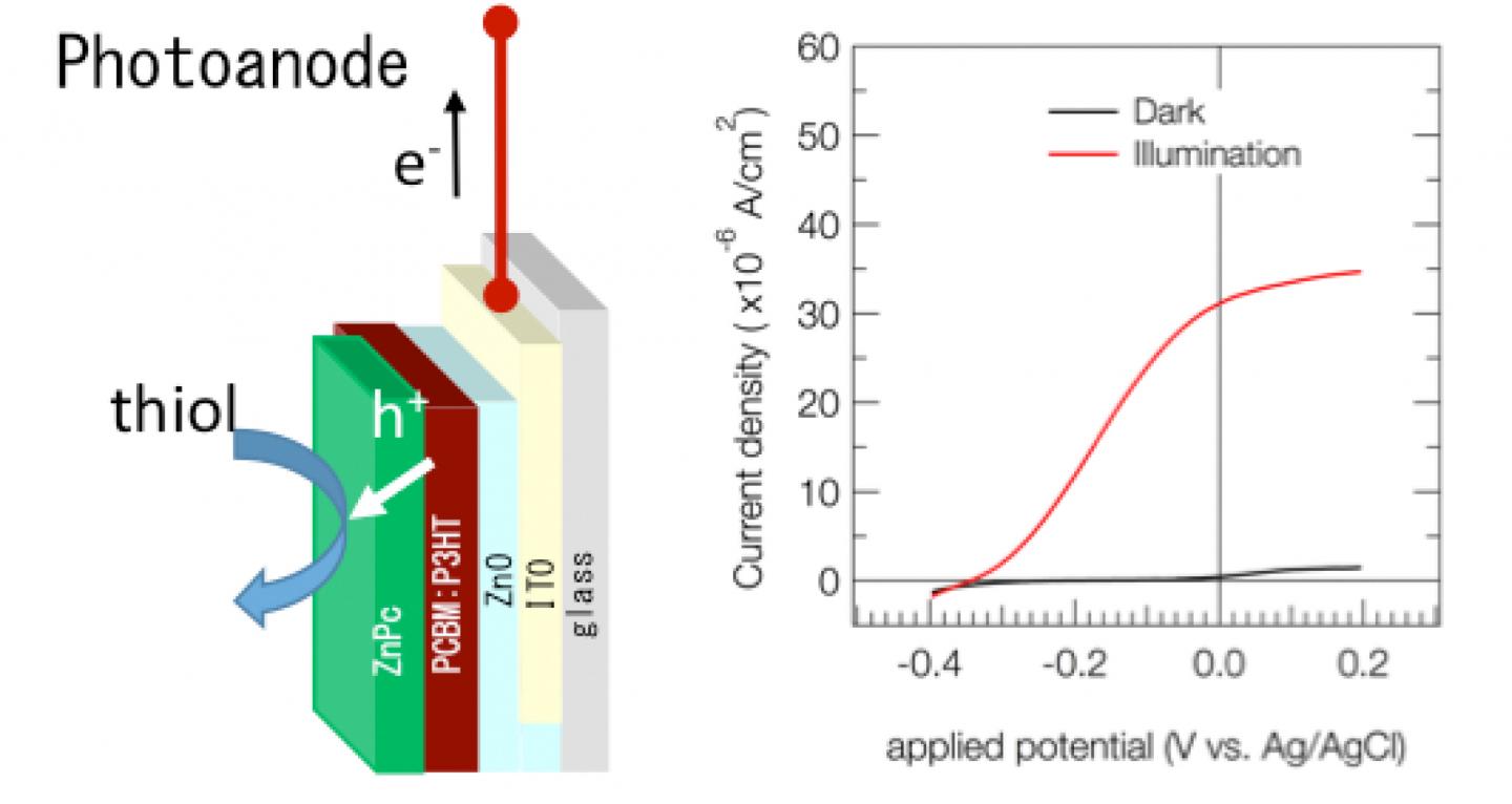 Electrochemical Catalysts Harvest Energy from the Sun