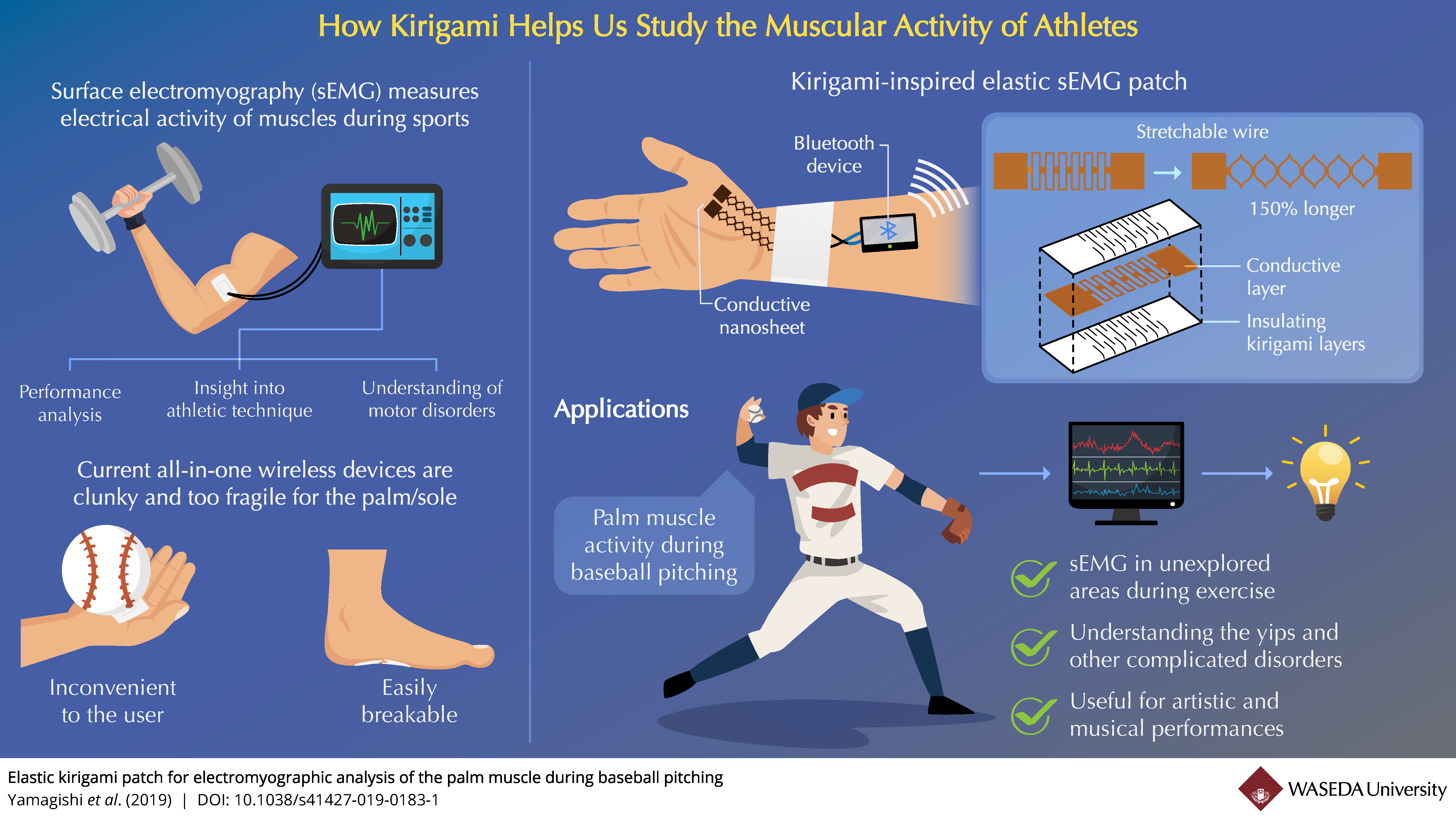 Kirigami can Help us Study the Muscular Activity of Athletes