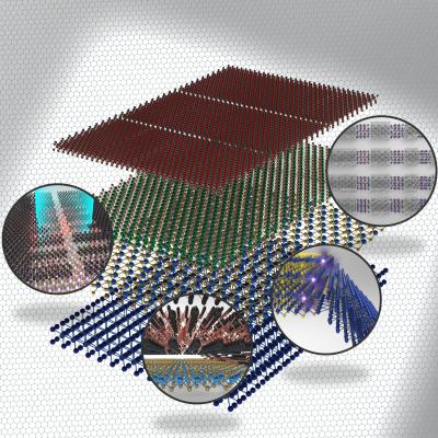 Total Review of Heterogeneously Integrated 2D Materials