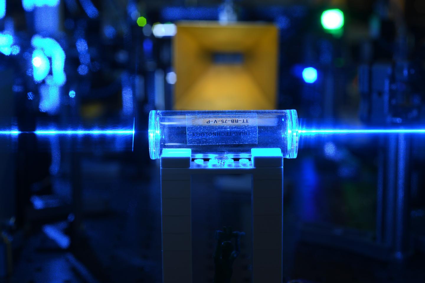 A Quantum Sensor that Covers Entire Radio Frequency Spectrum