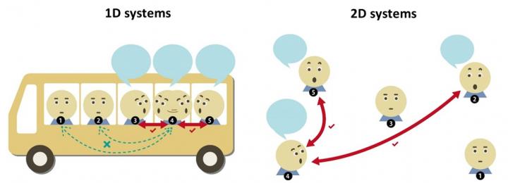 Shifting Dimensions: Exciting Excitons in Phosphorene