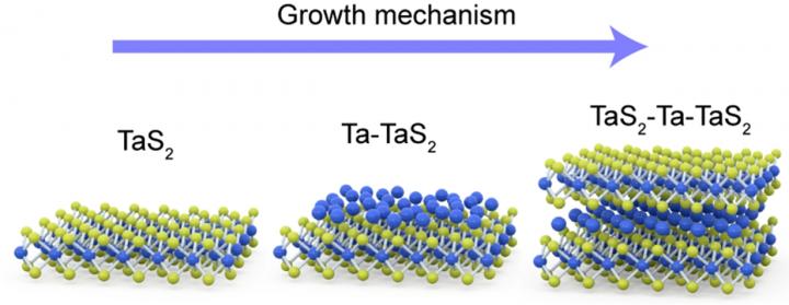 Researchers Develop Library of Atomically Thin 2D Materials