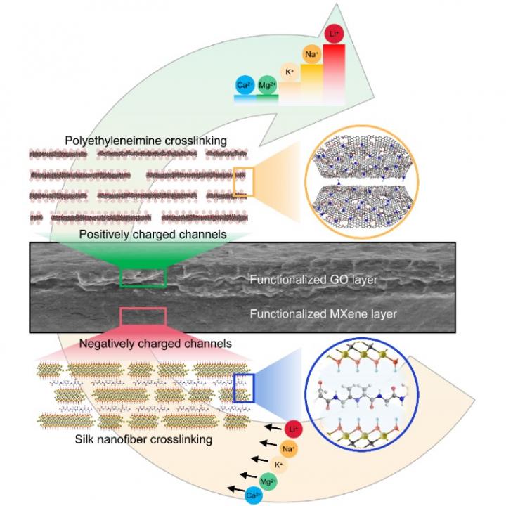 Bionic Idea Boosts Lithium-Ion Extraction