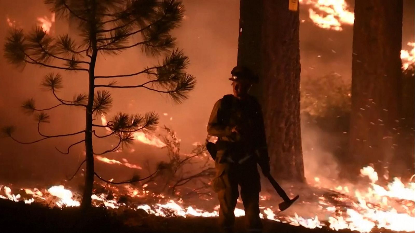 Substantial Energy Reductions to Prevent Blackouts in Northern California