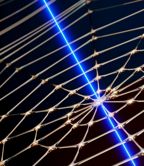 One of the World's Most Precise Microchip Sensors – Thanks to a Spiderweb