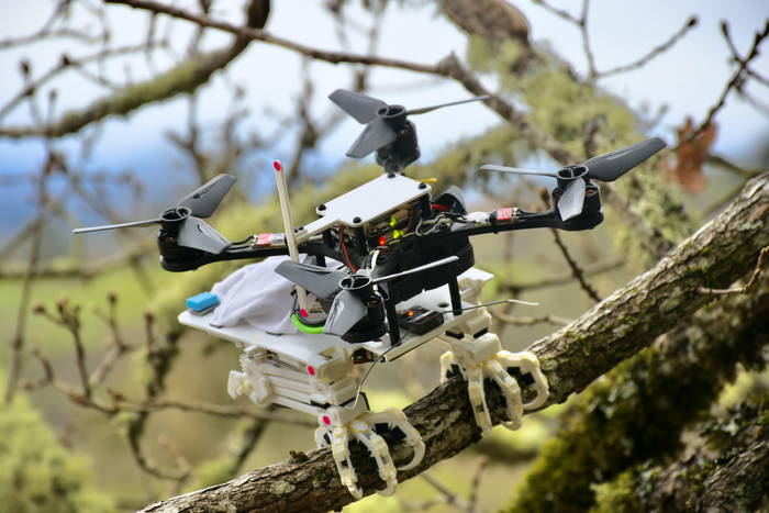 Stanford Engineers Create Perching Bird-Like Robot