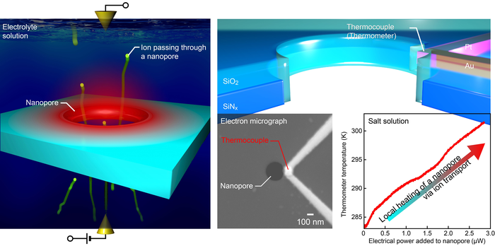 Nanopores Feel the Heat