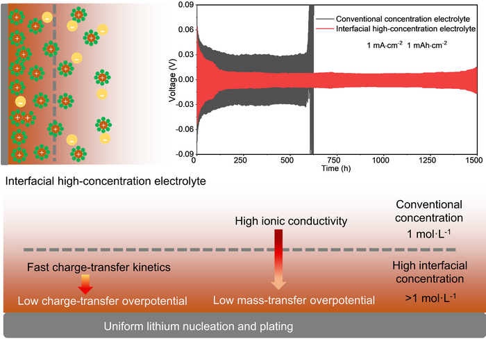 Scientists Design Electrolyte for Lithium Metal Anodes for use in Lithium Metal Batteries