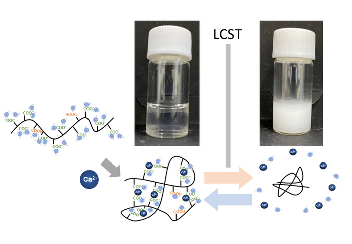 Smart Materials: Metal Cations-Recognizable Thermoresponsive Polymers