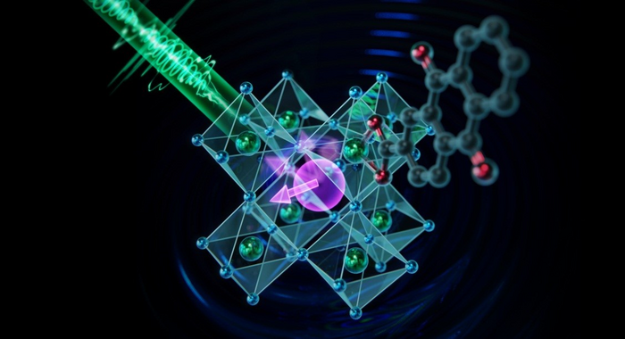 Coherent Manipulation of Spin Qubits at Room Temperature