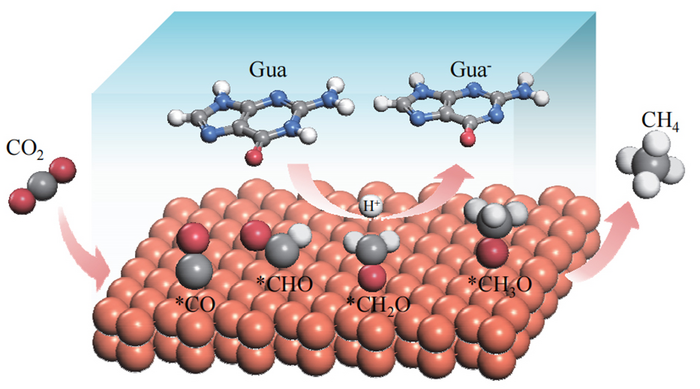 Guanine-Egulated Proton Transfer Enhances CO2-to-CH4 Selectivity over Copper Electrode