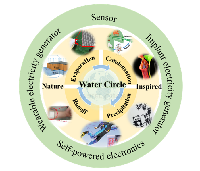 Electricity Harvesting from Evaporation, Raindrops and Moisture Inspired by Nature