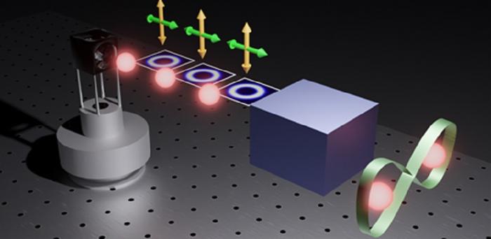 Unlocking Quantum Potential: Harnessing High-Dimensional Quantum States with QDs and OAM