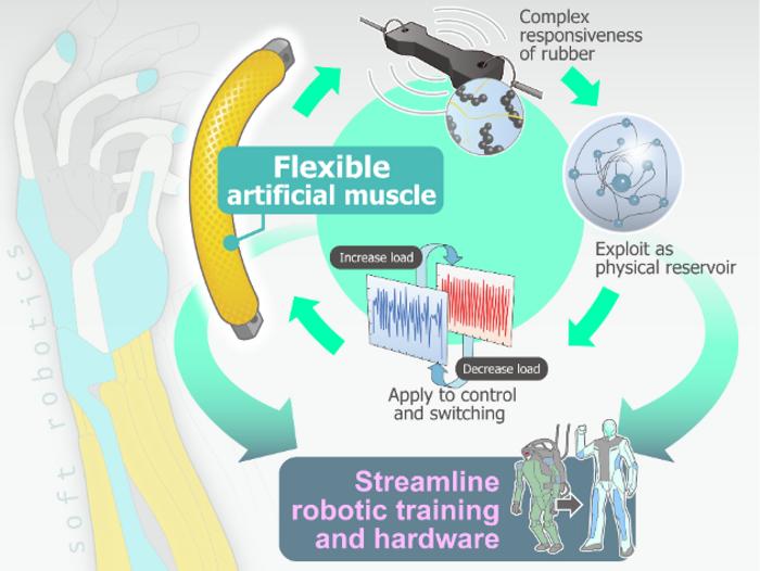 Built-in Bionic Computing