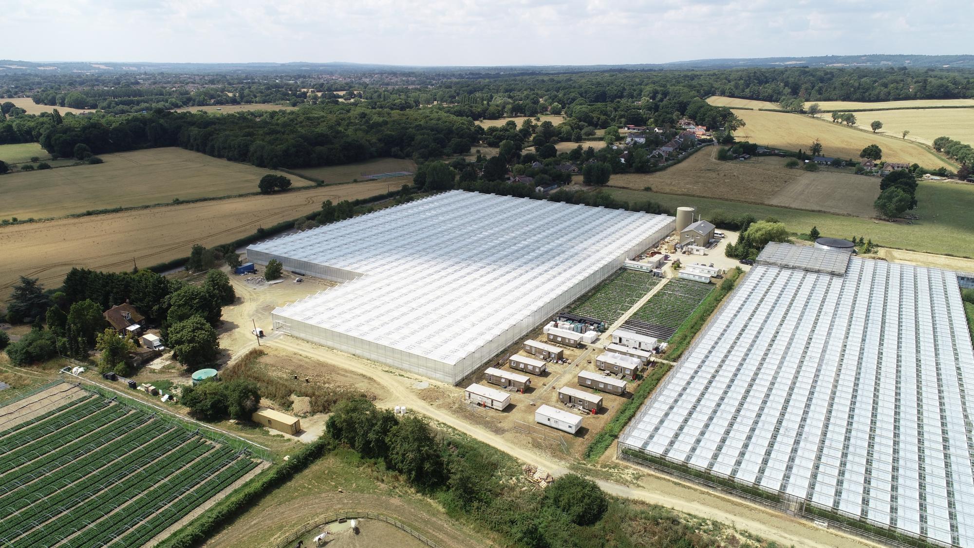 Wimbledon Fruit Provided by Solar-Enabled Greenhouses