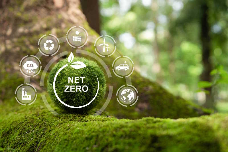 What Net Zero Roll-Back Say UK Businesses